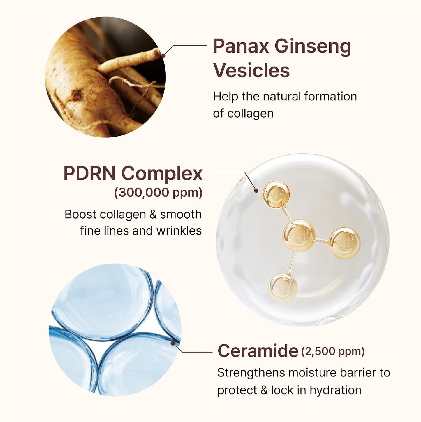 PDRN Firming Boosting Ampoule -  Ενισχυμένος Ορός Σύσφιξης & Αντιγήρανσης με PDRN & Ρετινόλη