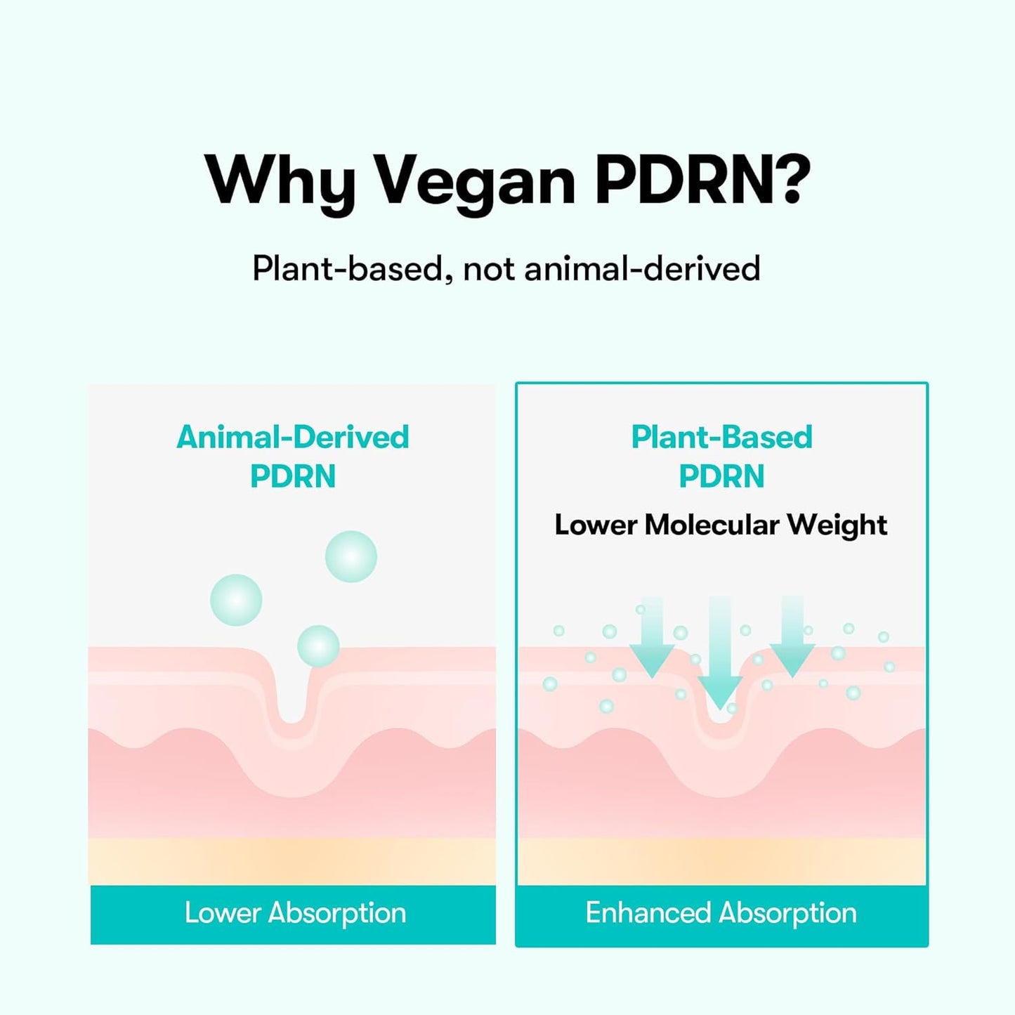 PDRN Glow Ampoule 