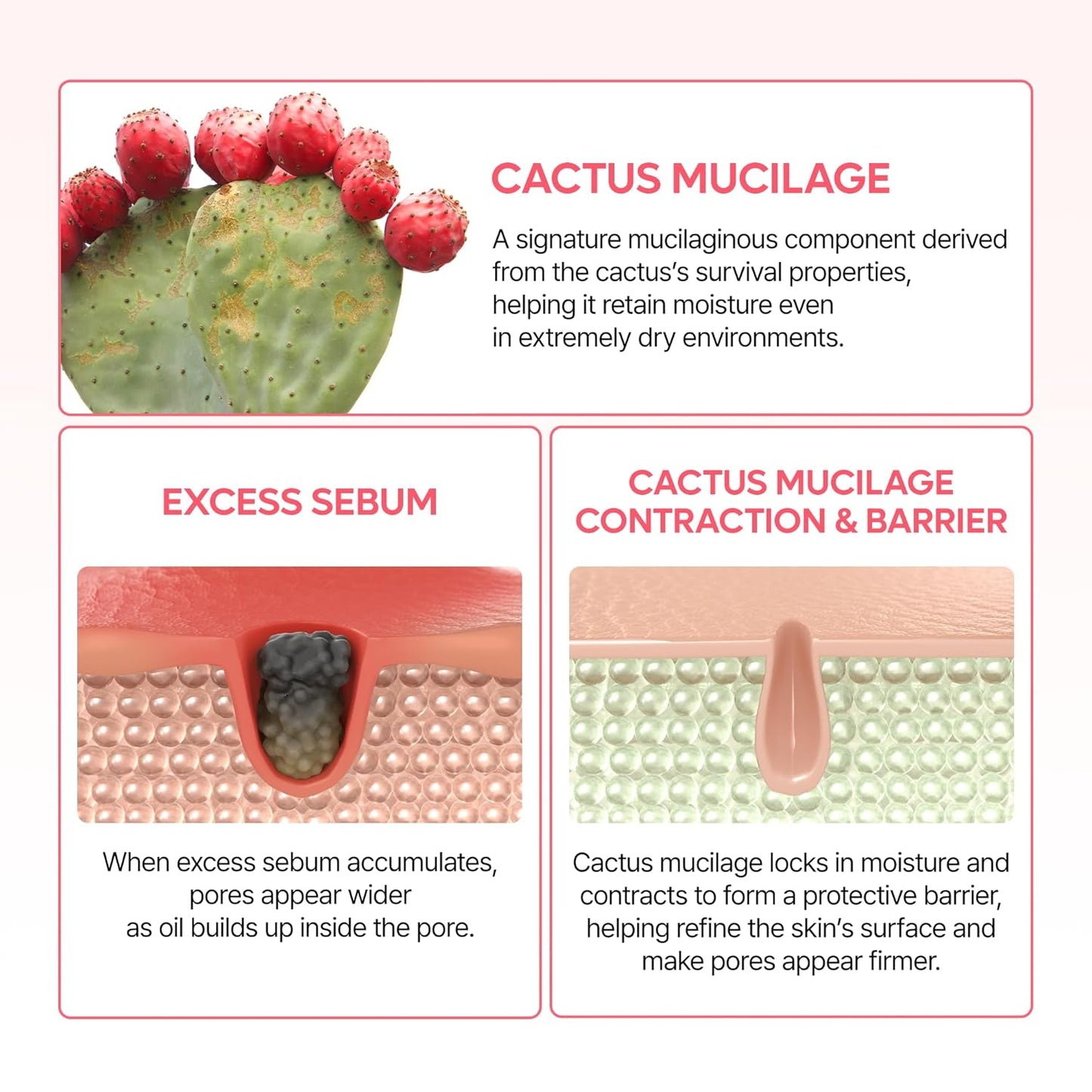 Cactox Pore Relief Dual Capsule Cream -  Κρέμα Διπλής Δράσης με Κάψουλες για Πόρους, Σύσφιξη & Ενυδάτωση