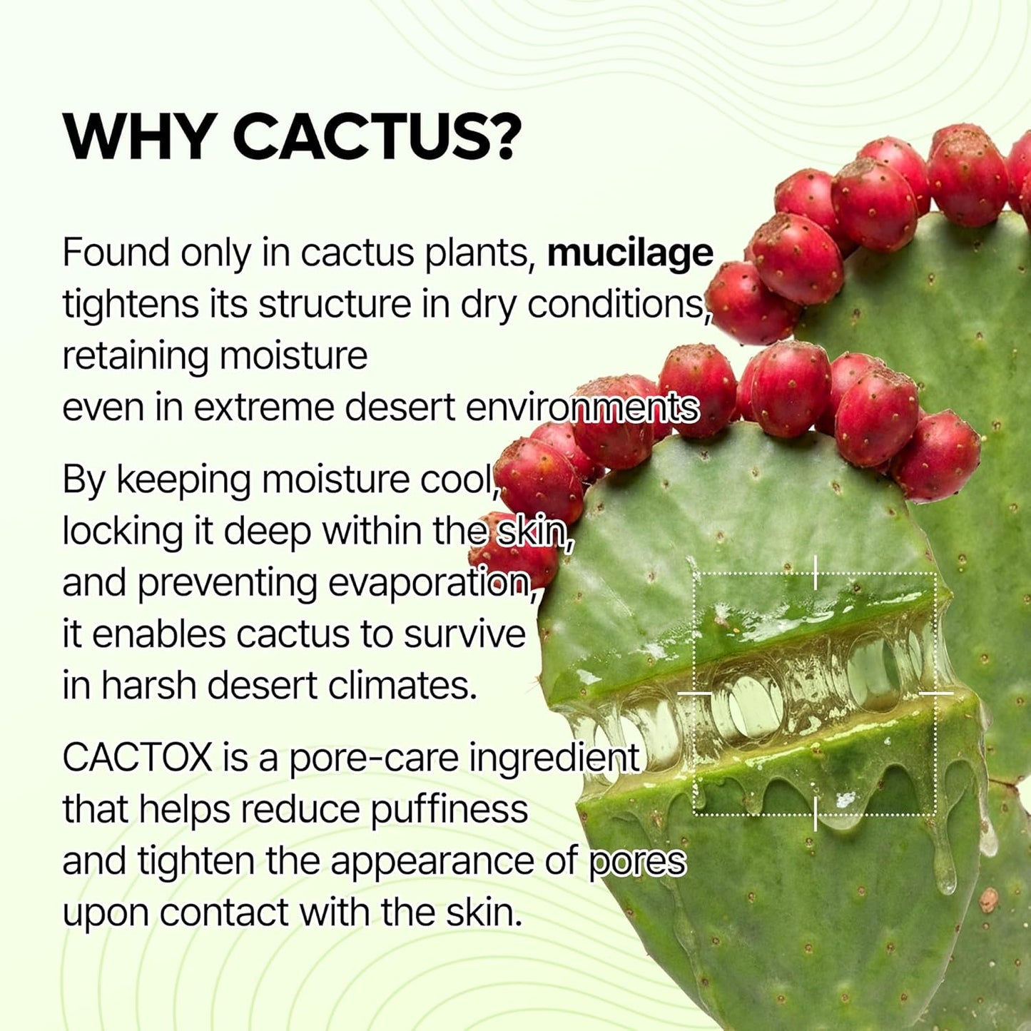 Cactox Pore Relief Jelly Serum Mist - Δροσιστικό Serum Mist με Κάκτο για Σύσφιξη Πόρων & Άμεση Ενυδάτωση